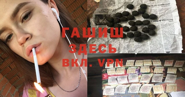 стафф Бердск