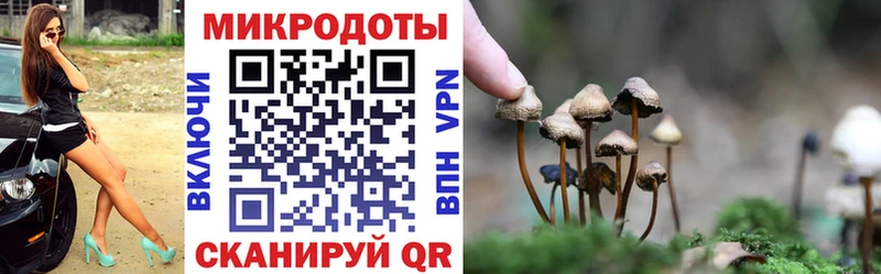 Галлюциногенные грибы Psilocybe  Темрюк 