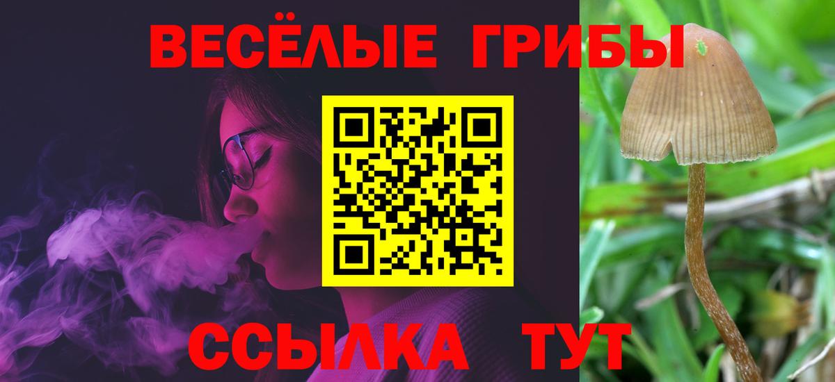 купить наркотики сайты  Псилоцибиновые грибы мицелий  Темрюк  Псилоцибиновые грибы Magic Shrooms 